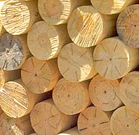 Cut_Lumber_sm.jpg