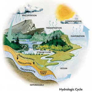 hydrological cycle