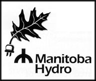 Hydro leaf logo