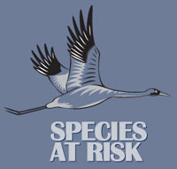 Species At Risk Logo