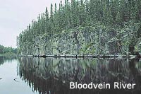 Bloodvein River photo