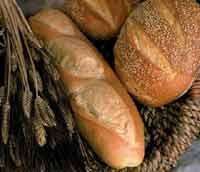 Bread