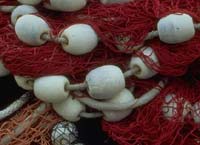 Fishing Nets