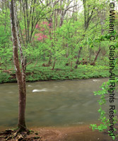 gentle river