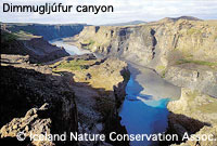 Iceland canyon