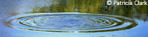 Water ripple