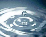 Water drop