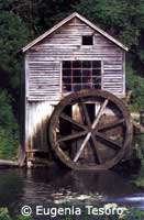 Water Wheel